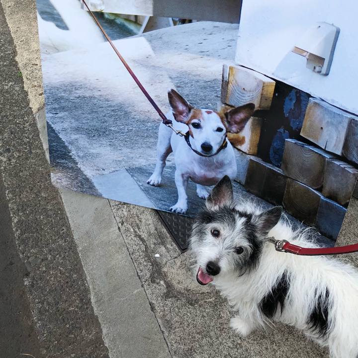 64007feb 297e 4253 ad72 784bcd04a5fa 1524398830664