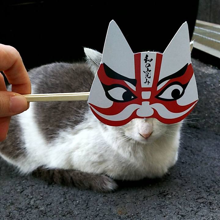 6400862a f4c8 4f10 a9a9 de3b50ba34b0 1520149091776