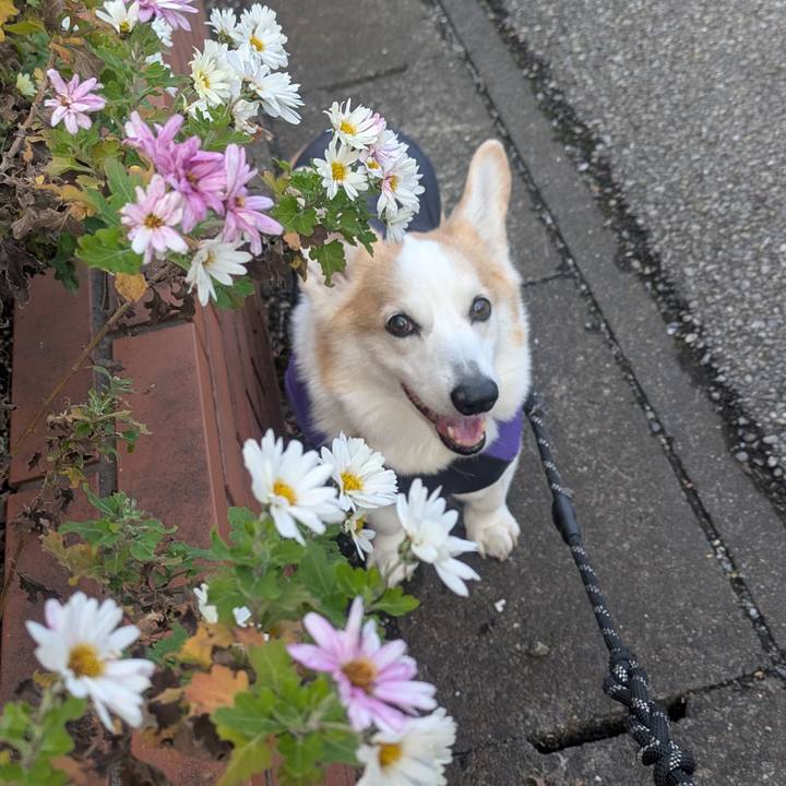 6400b10f 897c 4f4a 93f0 cc9fd229ed37 1765854234046