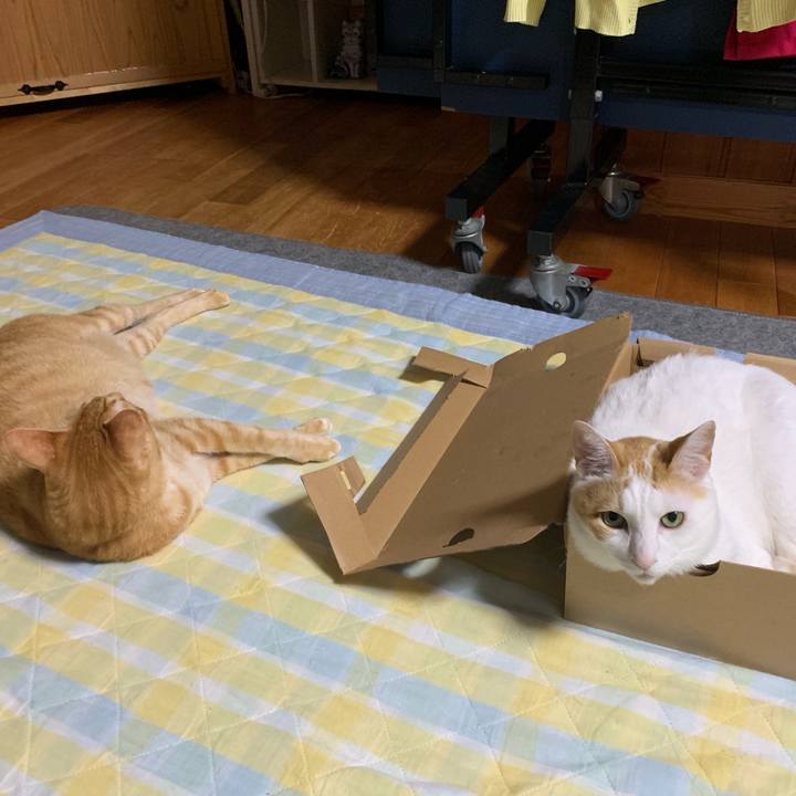 64012f63 527a 4263 8f5b c9ef673537f8 1558200275843