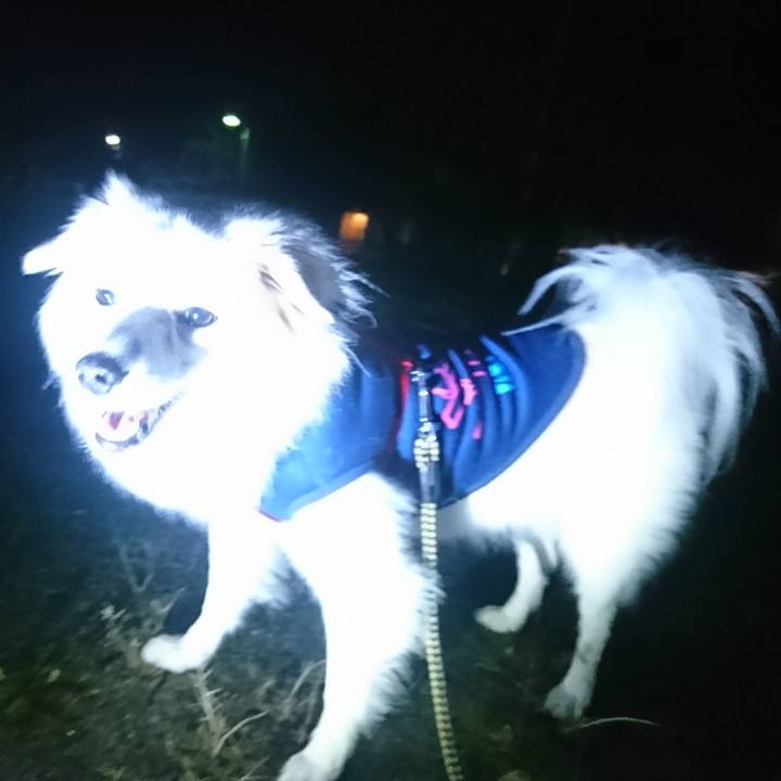 6401495f ce25 40bc a9c2 0fd904f78bf2 1509708048720