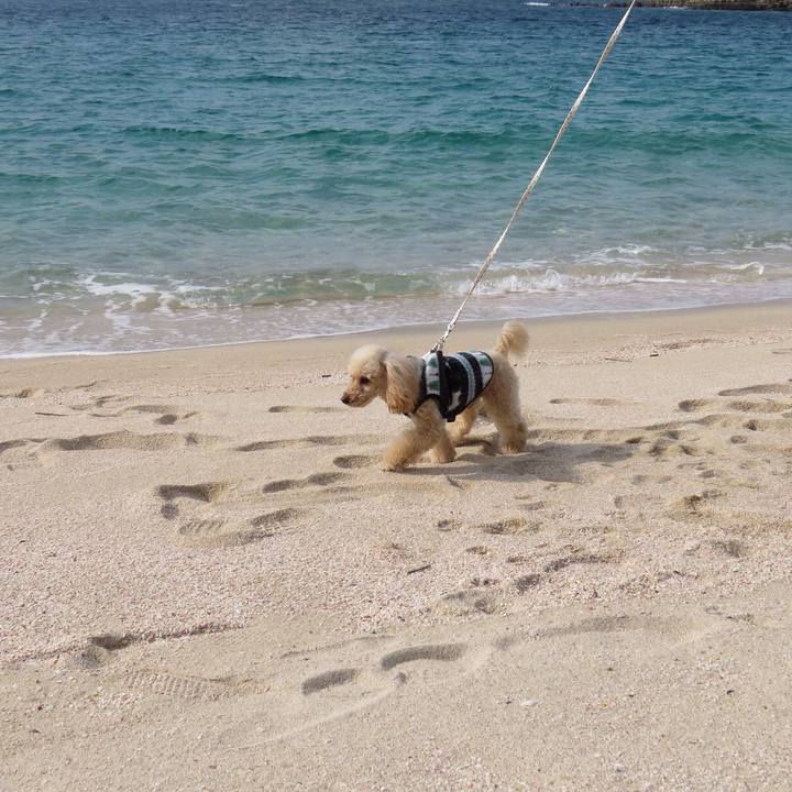 64017a3e 4e3f 4e70 8456 20c8be433aa0 1578008182900