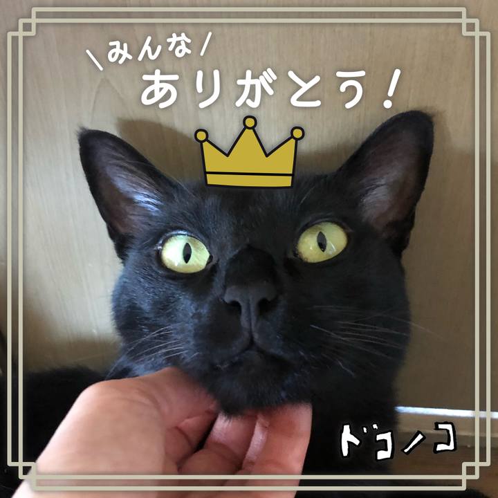 64017ef3 d52f 47ab 9e73 ddde6fa7ca6d 1622950511539