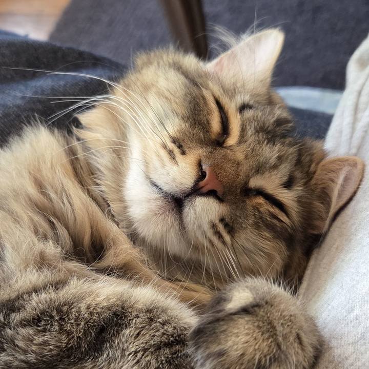 6401a02a bc4d 43ee 9612 14fcee73d5be 1775353075698