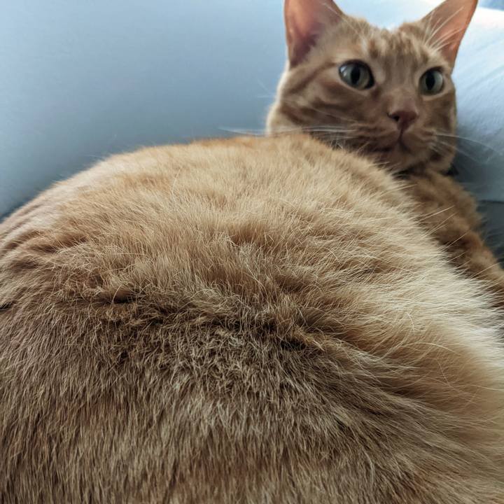 6401b12b 5c59 4b65 b76c bcf073a62cf0 1654985506653