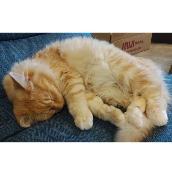 6401b4a9 c064 4402 8e88 8eea4fb00068 1627544787390