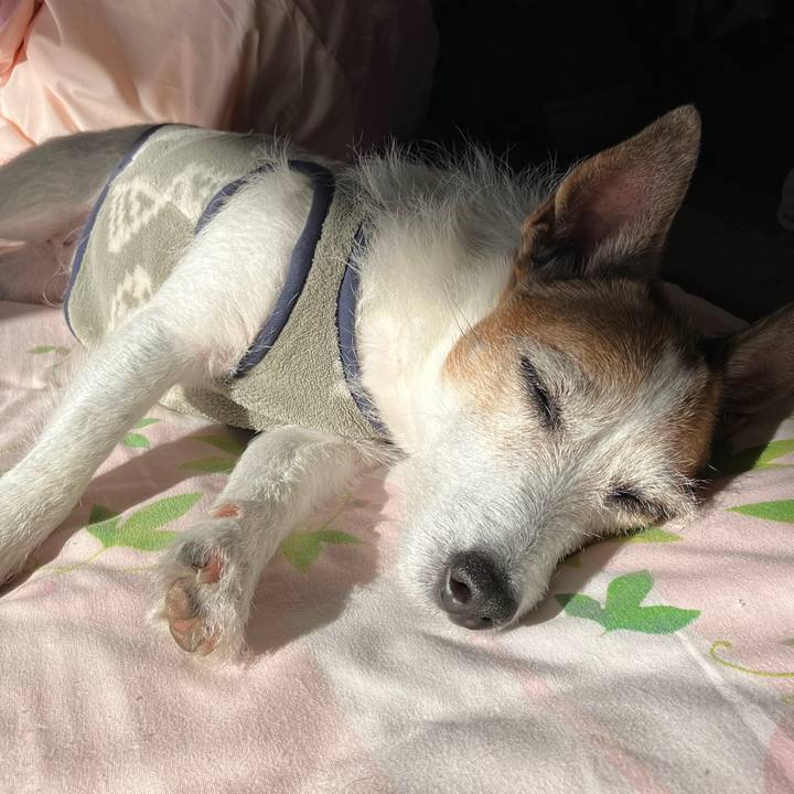 6401c9d6 805b 473e 9abd c589c62d4222 1703201292535