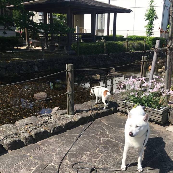 6401f929 a0c7 43a2 afb4 7378d15bd592 1525485094010