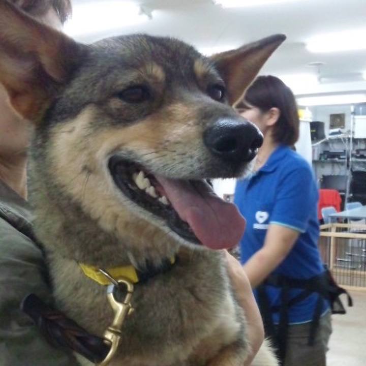 640208a9 e0bf 4200 9cf5 13990d53a3f3 1573807207517