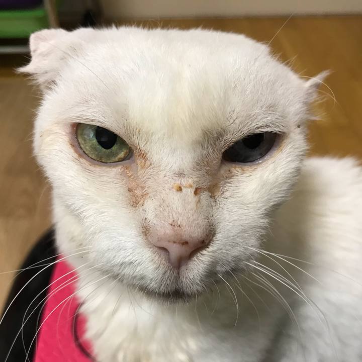 6402090a 96a3 400d 9f00 861eba3bf42f 1567672248867