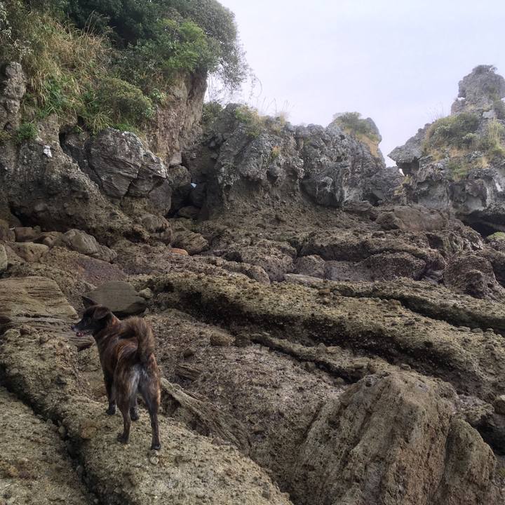 64021df0 3d78 447e afde fe9332c710e1 1527257955473