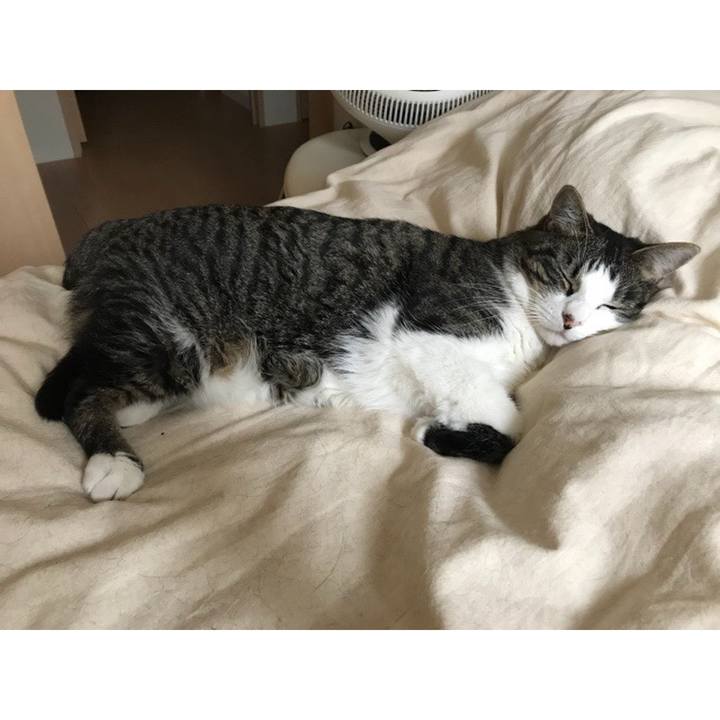 64024bec 6312 48f6 ae4a d7669438c6a6 1563571597298