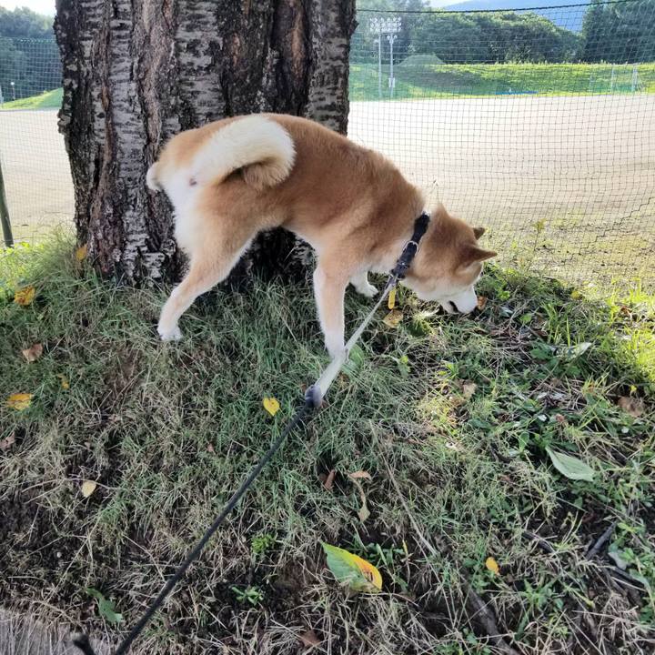 6402609b 9049 4cec b5c4 92918e3dfed0 1629013616095