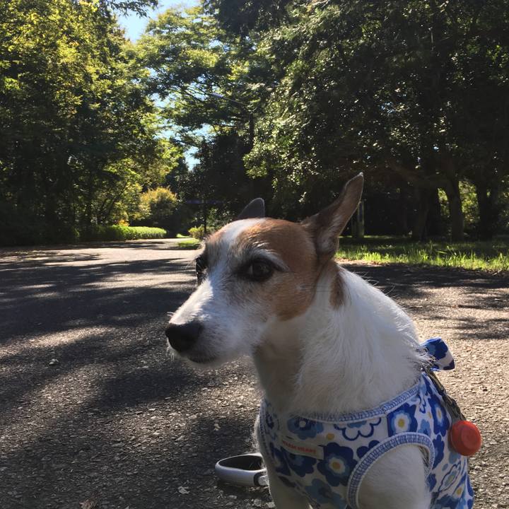 6402662a e11e 430f 840f 0b1ab33dad81 1603590842887