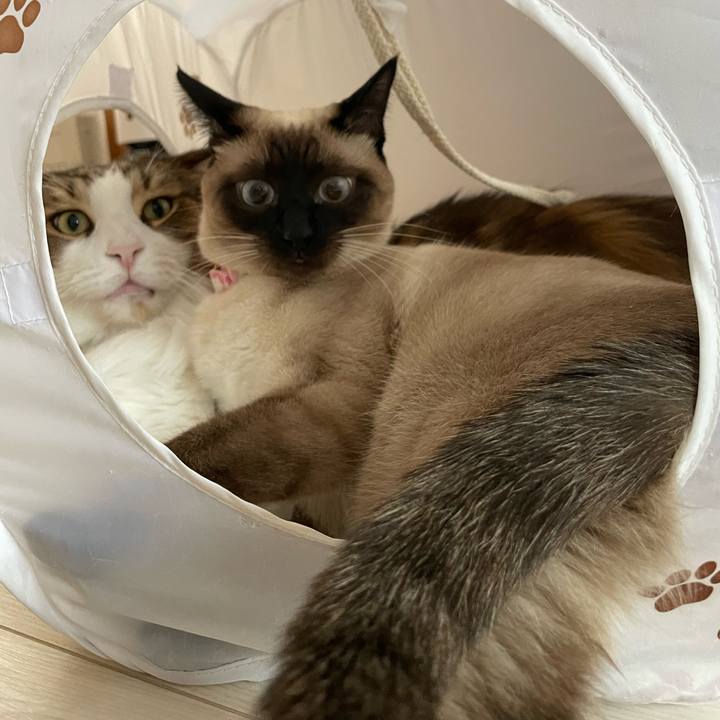 6402e587 6a20 4453 bb7d ecc3fd7fb8e3 1715802395684