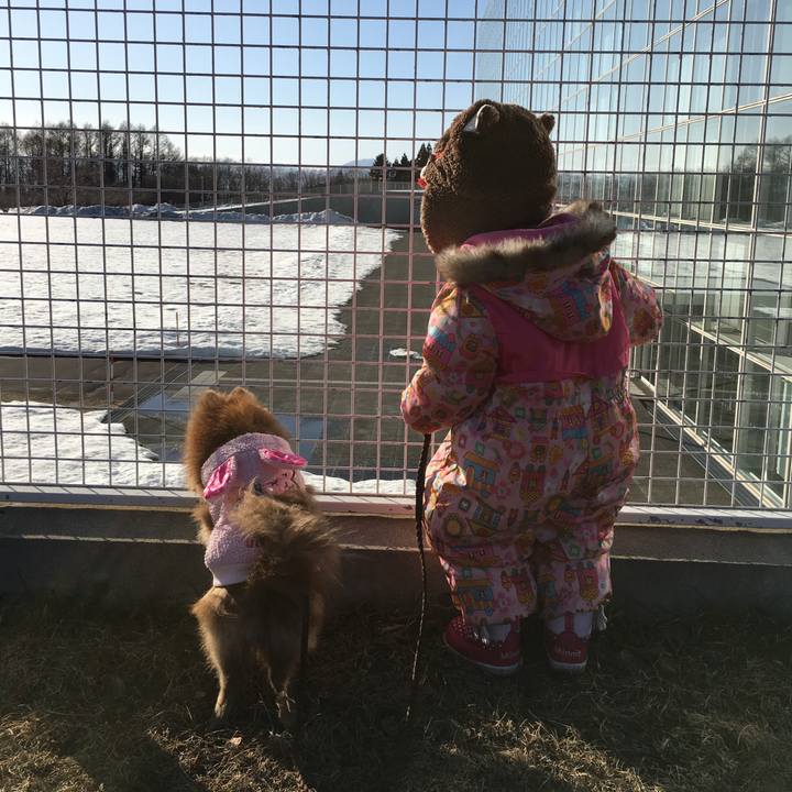 6402ffc1 63e6 46ee a357 abf9fe289f53 1521460195922