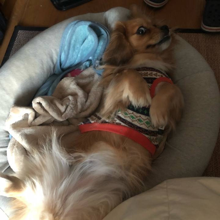 64030262 1ade 4f16 aba5 0341375a3cf9 1546731718574