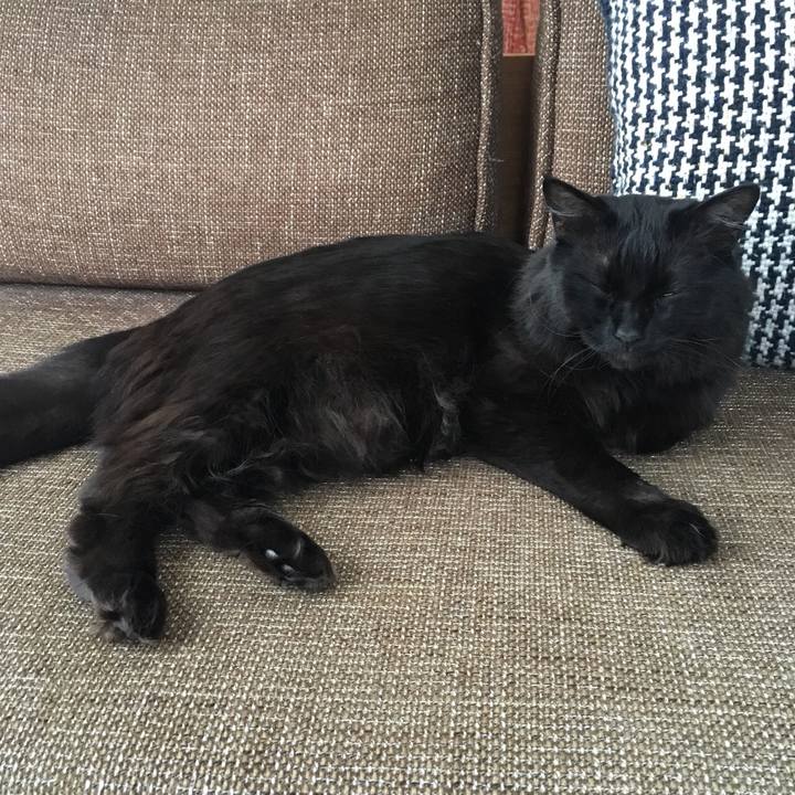 64032f12 4632 47e7 b57f 90474150a4f9 1521682128677