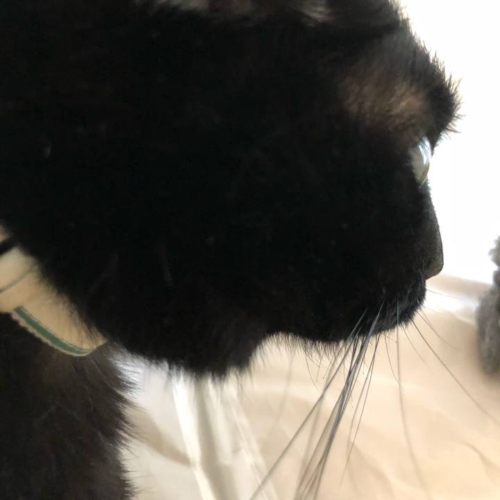 640345fe ab4c 471b 898c 071223490a74 1590199174592