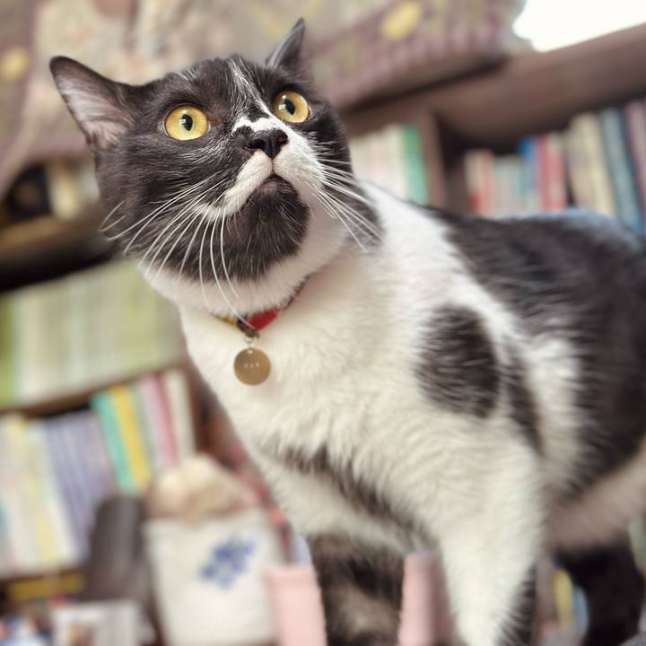 64034c0e 32a4 431f 8a2c a261dddc0294 1755220957076