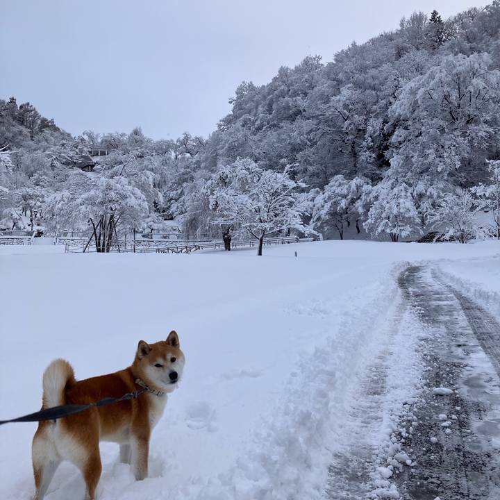 64036ffd 5d0b 48ab 8cc5 1fdcc214401c 1768180702440