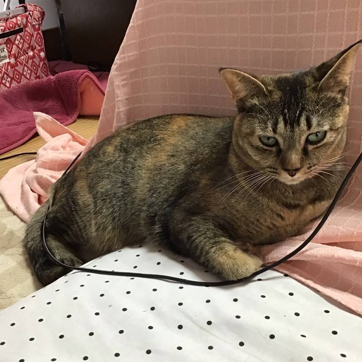 64037992 1779 4b96 90db 6dff8d416da8 1605847932205