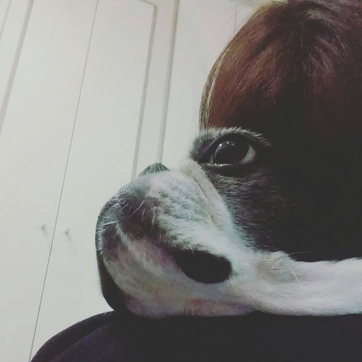 640393d1 76c2 458d bf20 4e17371983ee 1514707410186