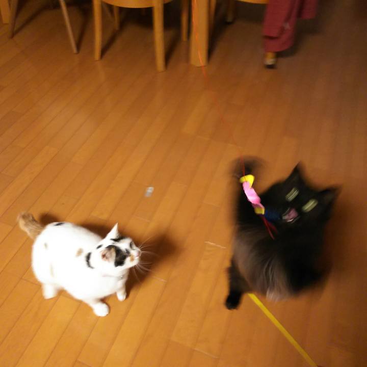 6403a1f9 029f 4910 9f1e 5386205a8bd9 1562407263655