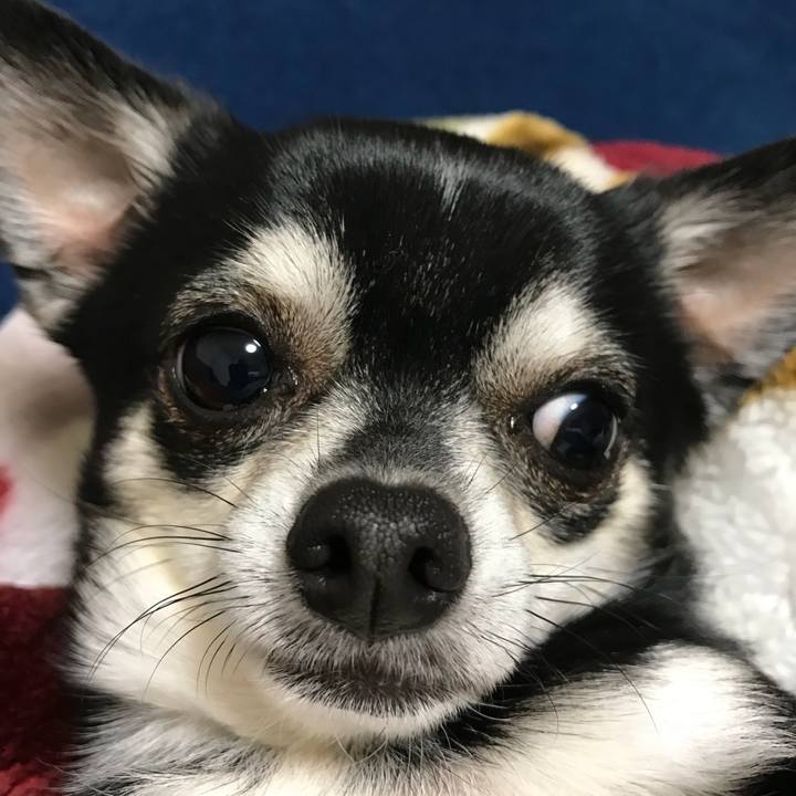 6403aa73 04ed 41ce a4d3 0780117d0288 1523621280190