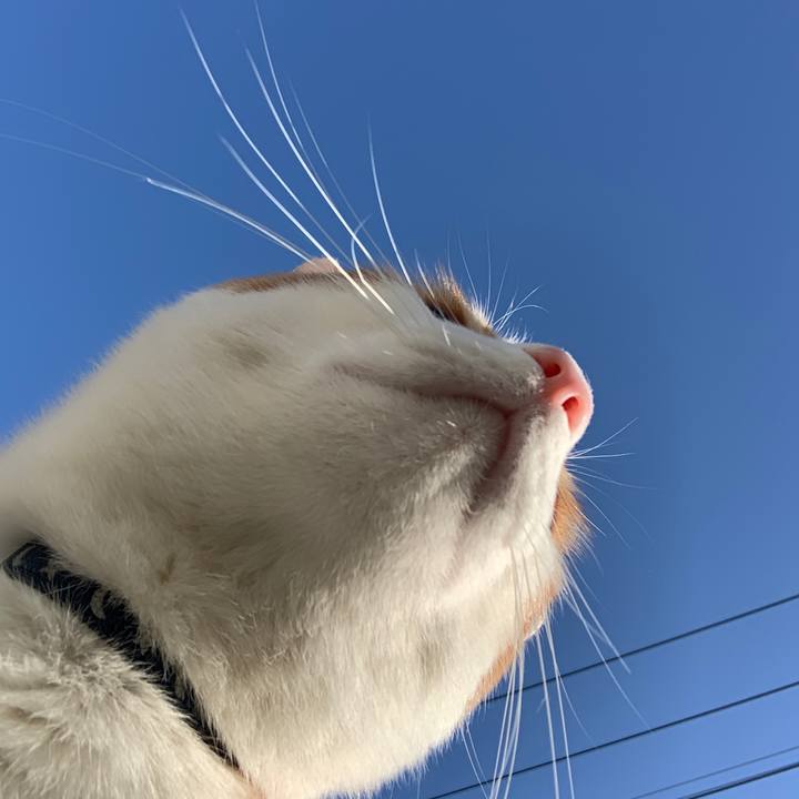 6403e86b 4a3e 4763 9fec ac6e436fb405 1582499825601