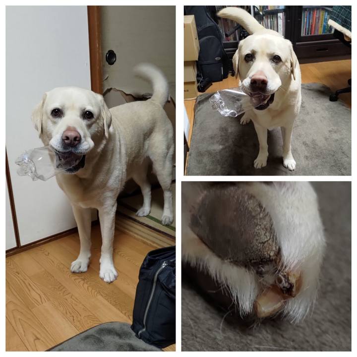 6403ea39 3859 4a27 af48 37b3071f44cb 1647260953948