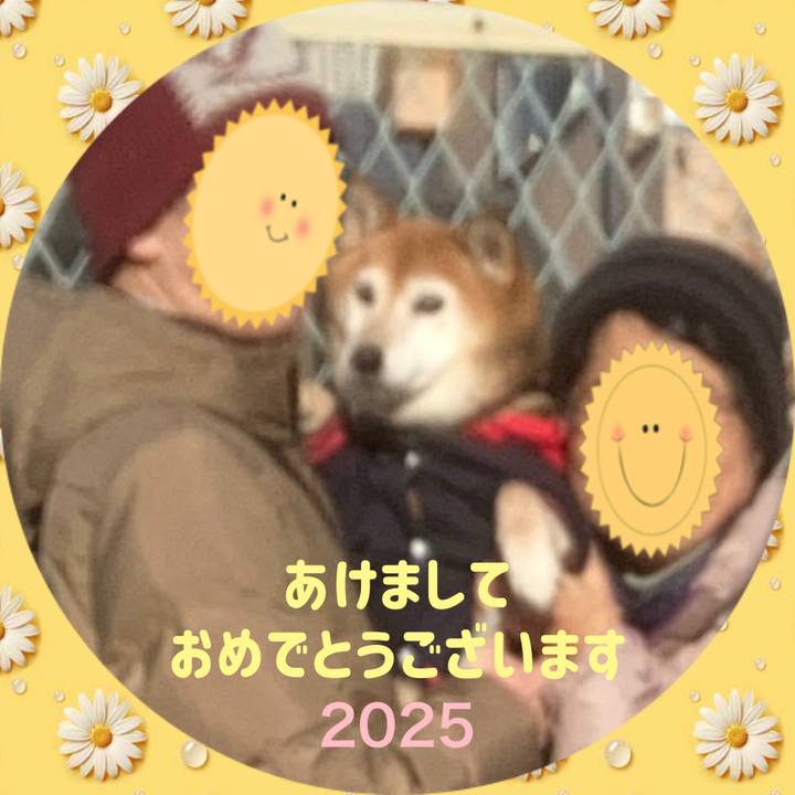 640412db e2b9 40de a025 64294fa7544f 1735691763392