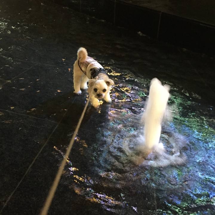 64041d1d 0c8f 40e8 8a9a 9dc235e2c845 1566127819095