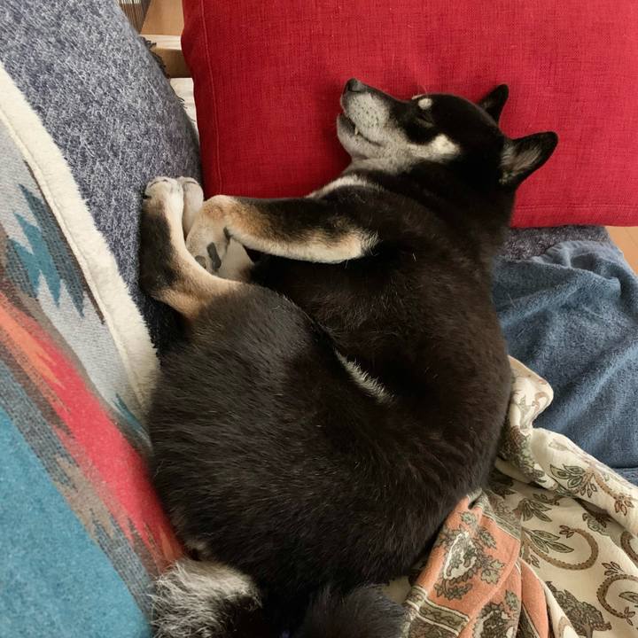 6404374e c16e 48e2 aa43 49d818e495df 1639477220372