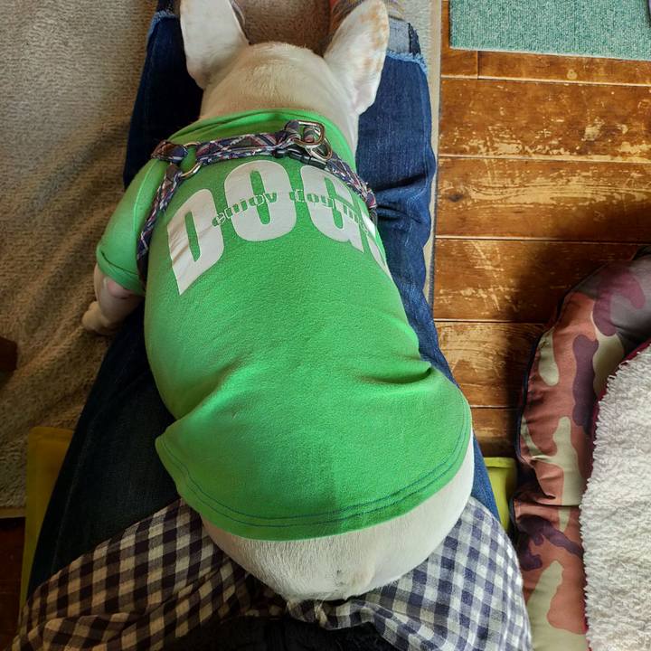 64045cf0 9dd8 4a1f a365 a3015e6f0c61 1637629681518