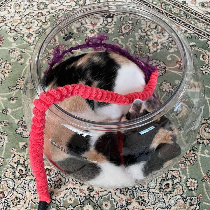 640489ed 6445 40c7 be1e de9f7bcb9318 1721692479683