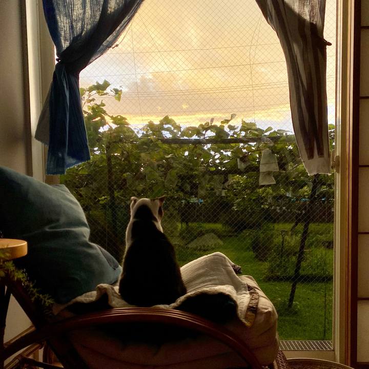 64048d40 e60f 4789 836d f197c7556f43 1629318560755