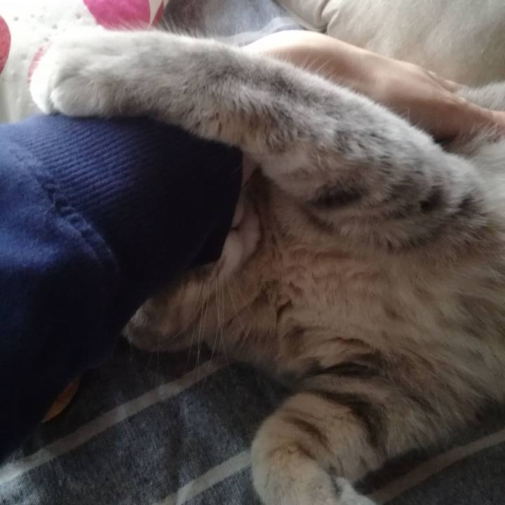 64049300 7569 4f6e a421 74e1c9b2654e 1509274812612