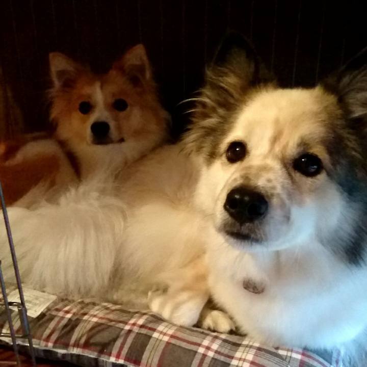 6404a2a7 5e3e 4dde 99c2 ff1603f8d14f 1593862976017