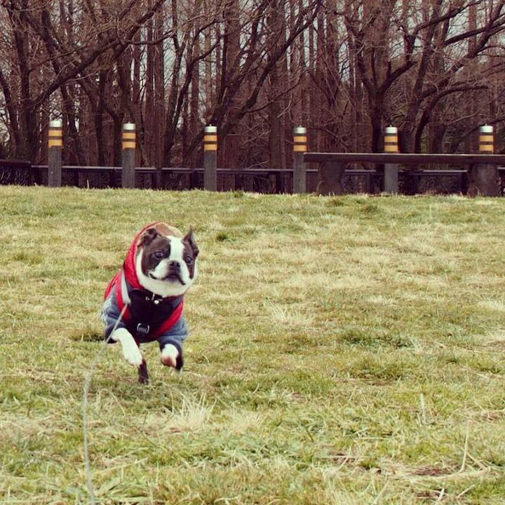 6404c611 a7b8 4249 830f 1b97ede4fce1 1513688786324