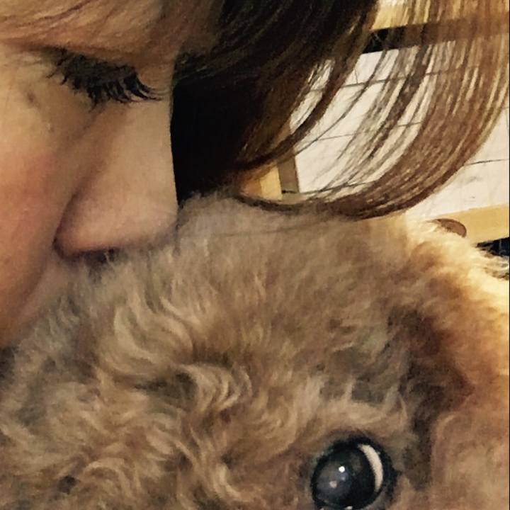 6404ec93 e34e 4f55 865e 34d58aa14a20 1575552188984