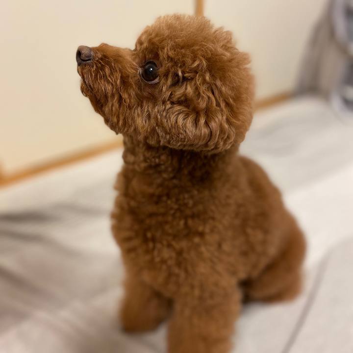 6404fb38 d868 4d5b 9c22 147e4105acb7 1569544095716