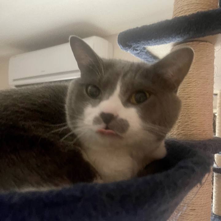 6404fc6e 9ba6 4349 a0f9 28e4374a6ffa 1679794997471