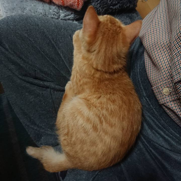 64053d62 07c0 4555 804f 33b7d0926941 1633313161373