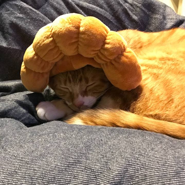 640547a0 ead3 4ab3 9baf e8aac5bbee88 1508756986069