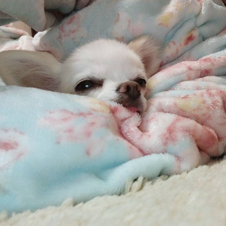 640589d6 4dba 48df b6c6 647807538d2f 1579263174161