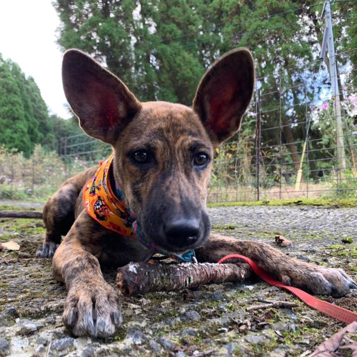 6405902d e88c 4b26 8c17 233354f502b7 1572343947085