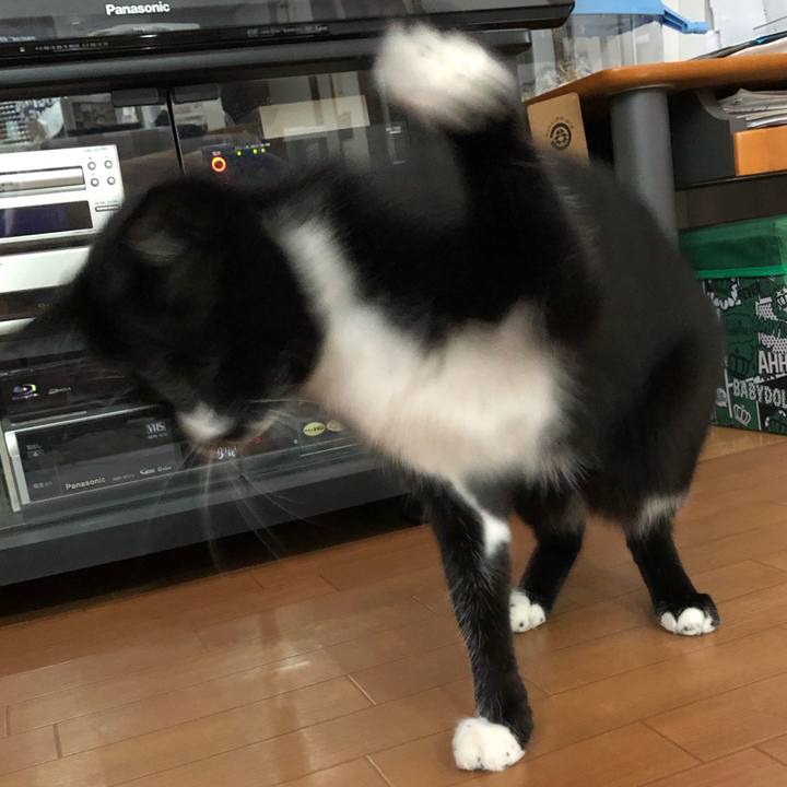 6405937f 03e6 4fc9 a475 c1022d36f21a 1570765736396