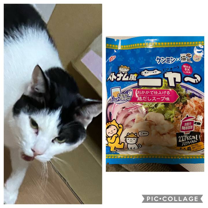 640594e7 2df2 4abe b323 b7f6e83df8e4 1581077143308