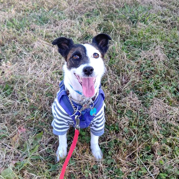 6405d0bc 4c00 4e44 bfc5 543e2ba0964c 1667479477913